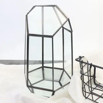 9.4 i Højden Indendørs Bordplade Uregelmæssige Glas Geometriske Luft Planter Terrarium Box