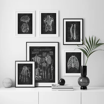 Den Menneskelige Anatomi Kunst Medicinsk Væggen Billedet Skelet Organ-Muskel System Vintage Plakat Lærred Print Krop Uddannelse Maleri