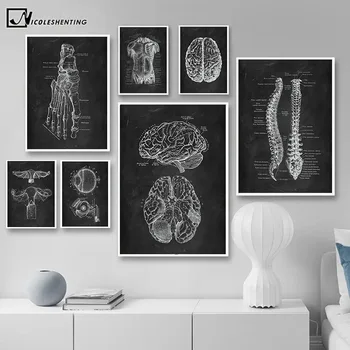 Den Menneskelige Anatomi Kunst Medicinsk Væggen Billedet Skelet Organ-Muskel System Vintage Plakat Lærred Print Krop Uddannelse Maleri