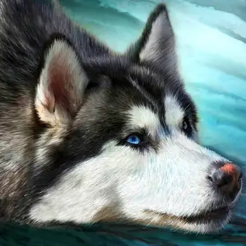 Diamant Maleri Labrador Hund Dyr 5d Diy Mosaik Fuld Pladsen Runde Øvelsen Af Rhinestone Diamant Daimond Broderi Billede Salg