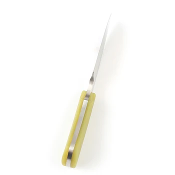 REAL vg-10 stål Lille kniv med fast blad G10 håndtere udendørs jagt overlevelse lomme frugt kniv køkken kniv camping EDC værktøj