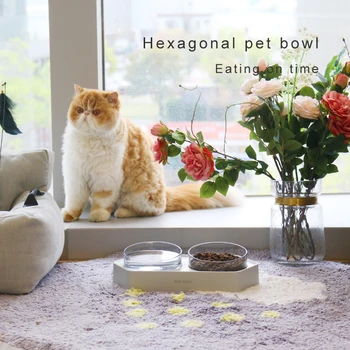 Pet Skål Sekskantet Skål Til Kat Og Hund Skrå Hældning Design Forhindre Væltning