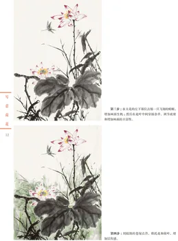 Traditionel Kinesisk Maleri Bog For Gong Bi Bai Miao Lotus Børste Tegning