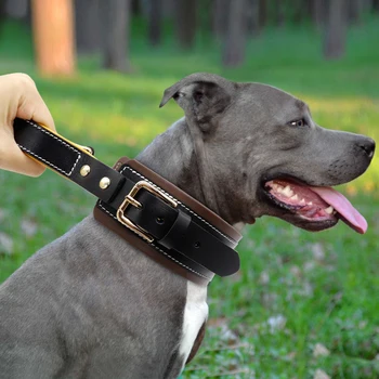 Ægte Læder Hund Krave Med Justerbar Polstret Hund Kraver Med Håndtag Til Mellemstore Og Store Hunde Pitbull Fransk Bulldog-Pet Produkter