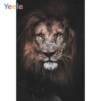 Yeele Photocall Lion Vildskab Frihed Tillid Fotografering Baggrunde Personlige Fotografiske Baggrunde Til Foto-Studio