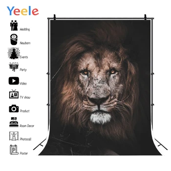 Yeele Photocall Lion Vildskab Frihed Tillid Fotografering Baggrunde Personlige Fotografiske Baggrunde Til Foto-Studio