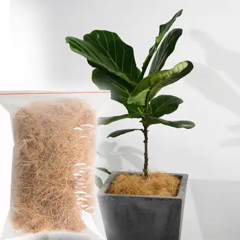 Naturlige Kokos Fiber Planter Bonsai Dække Urtepotte Havearbejde Plante Dekoration Til Haven Potteplante Botanik Holde Varmen
