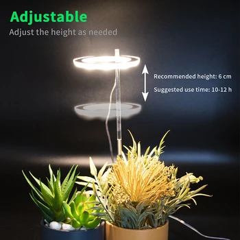 Phytolamp For Planter Varm Hvid USB-Grow Light Phyto Lampe Indendørs Orkideer Fulde Spektrum Hydroponic Voksende Blomstring bordlampe