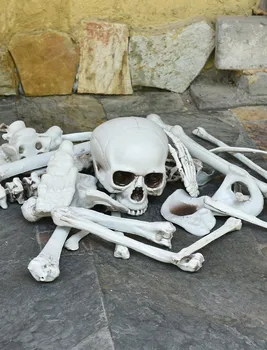 27 stykke/sæt Halloween Skelet Knogler Tricky Hjemsøgt Hus Horror Skelet Kraniet Prop Part Dekorationer