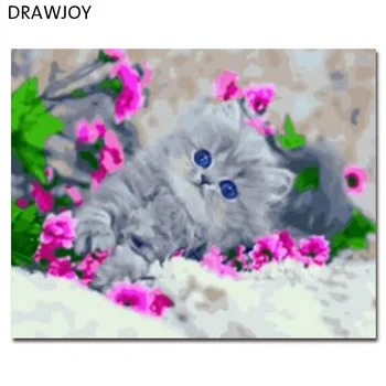 DRAWJOY Indrammet DIY Olie Maleri Af Numre Dejlige Katte Maleri & Kalligrafi Hjem Indrettet Til Stue GX5985 40*50 cm