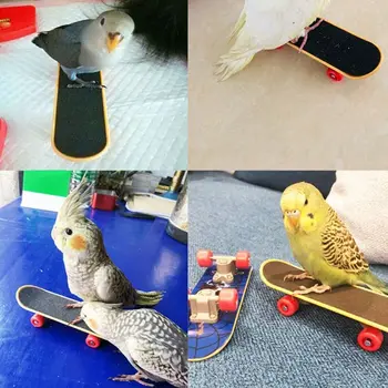 5Pcs/Sæt Parrot Uddannelse Legetøj Mini Indkøbskurv Uddannelse Ringe Skateboard Stå