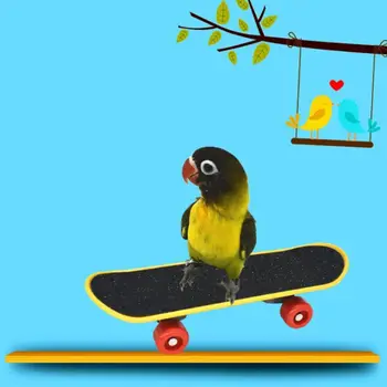 5Pcs/Sæt Parrot Uddannelse Legetøj Mini Indkøbskurv Uddannelse Ringe Skateboard Stå