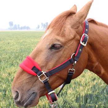 Hest Rebgrime Headcollar Equestrian Udstyr Justerbar Tykkere Ridning Tøjlen Hoved Krave Hesteryg Strop Tilbehør