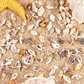 1 Kasse Over 1300 Pc ' Er, Mini-Natural Beige ShellConch Perler Seaside Stearinlys Smykkefremstilling