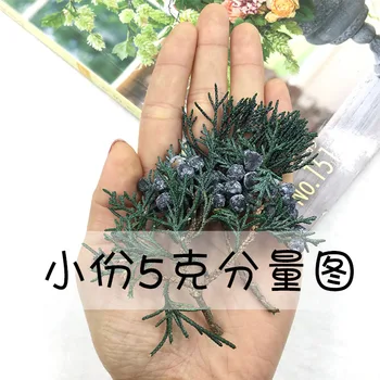 Importeret Japansk Jord Landbrugs-Park Evig Blomst Pine Leaf Cypress Pine Leaf Gren DIY Valentine ' s Day Garland Glas