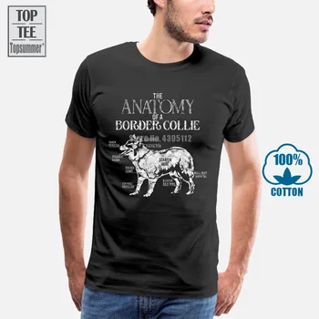Cool Dog-Lover Border Collie Anatomy 554 T-Shirt
