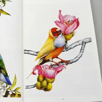 Flyvende Fugl Farve Blyant Tegning TechniqueTutorial Bog Blyant Håndtegnede Maleri Bog Fra Post Til Mesterskab
